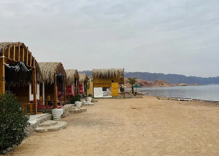 Eid Bedouin Life Orman Evi