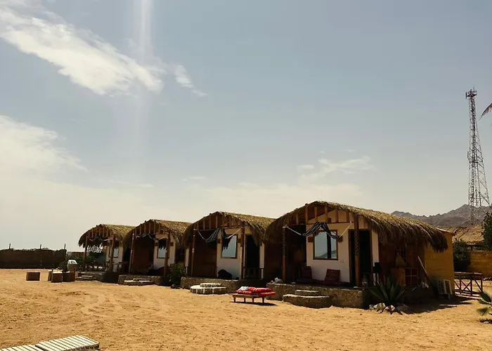 Eid Bedouin Life Orman Evi *